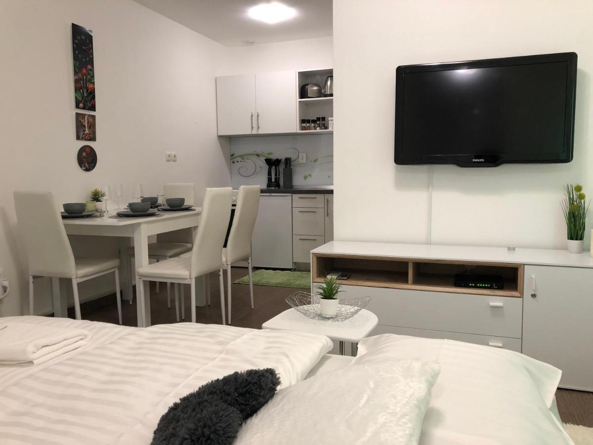 Apartmán Modern Center Studio Under The Castle II Free Parking Lublaň Exteriér fotografie