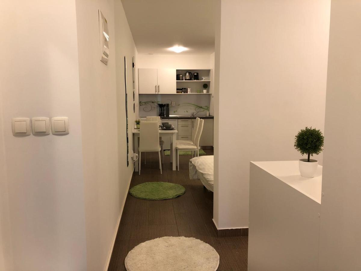 Apartmán Modern Center Studio Under The Castle II Free Parking Lublaň Exteriér fotografie